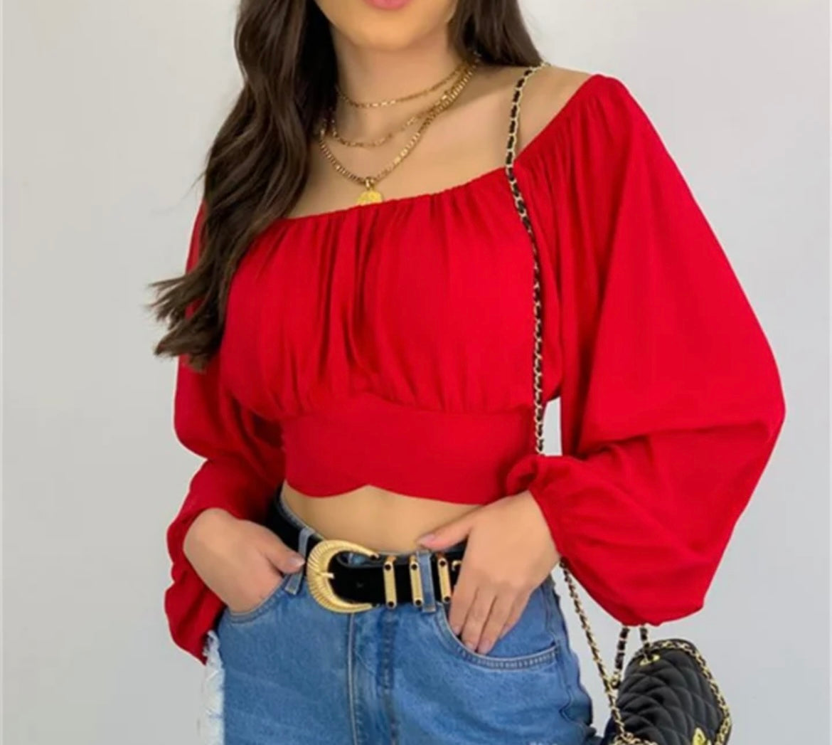 Ale Crop Top